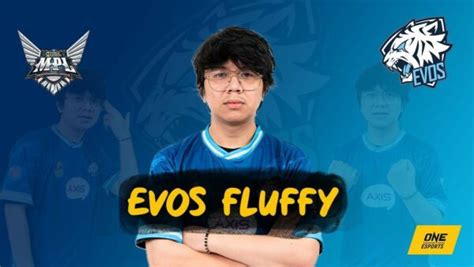 Umur evos fluffy  Muncul di Evos dan membawa nama timnya menjadi yang terbaik, menjadi seseorang yang di idolakan banyak player